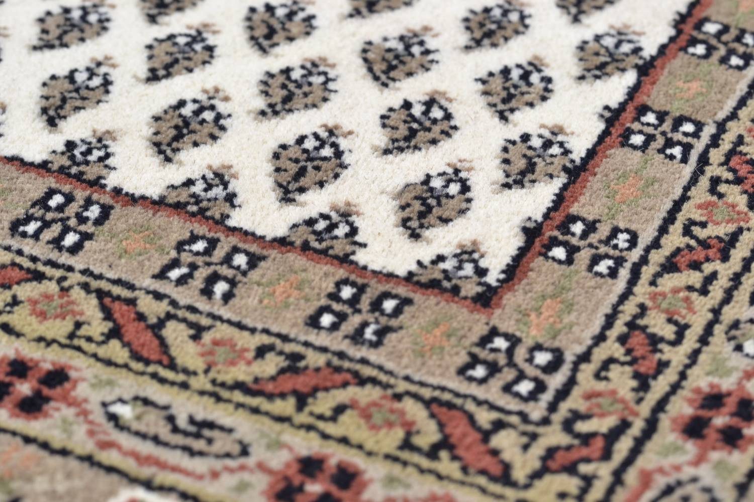 RUG N' ROLL Orientteppich Indo Mir, günstig online kaufen