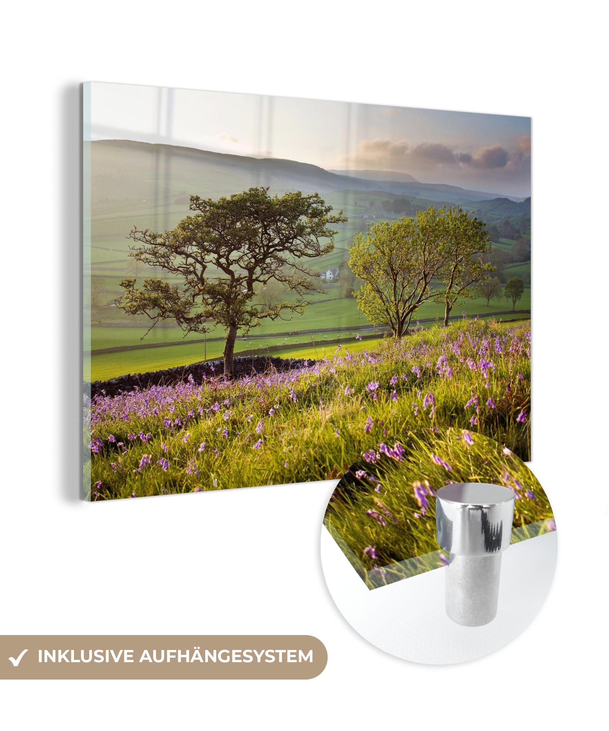 MuchoWow Acrylglasbild Eichen in den Hügeln des Yorkshire Dales National Park, (1 St), Acrylglasbilder Wohnzimmer & Schlafzimmer