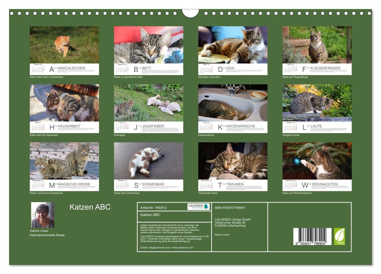 Thumbnail - CALVENDO Wandkalender Katzen ABC (Wandkalender 2026 DIN A3 quer), CALVENDO Monatskalender