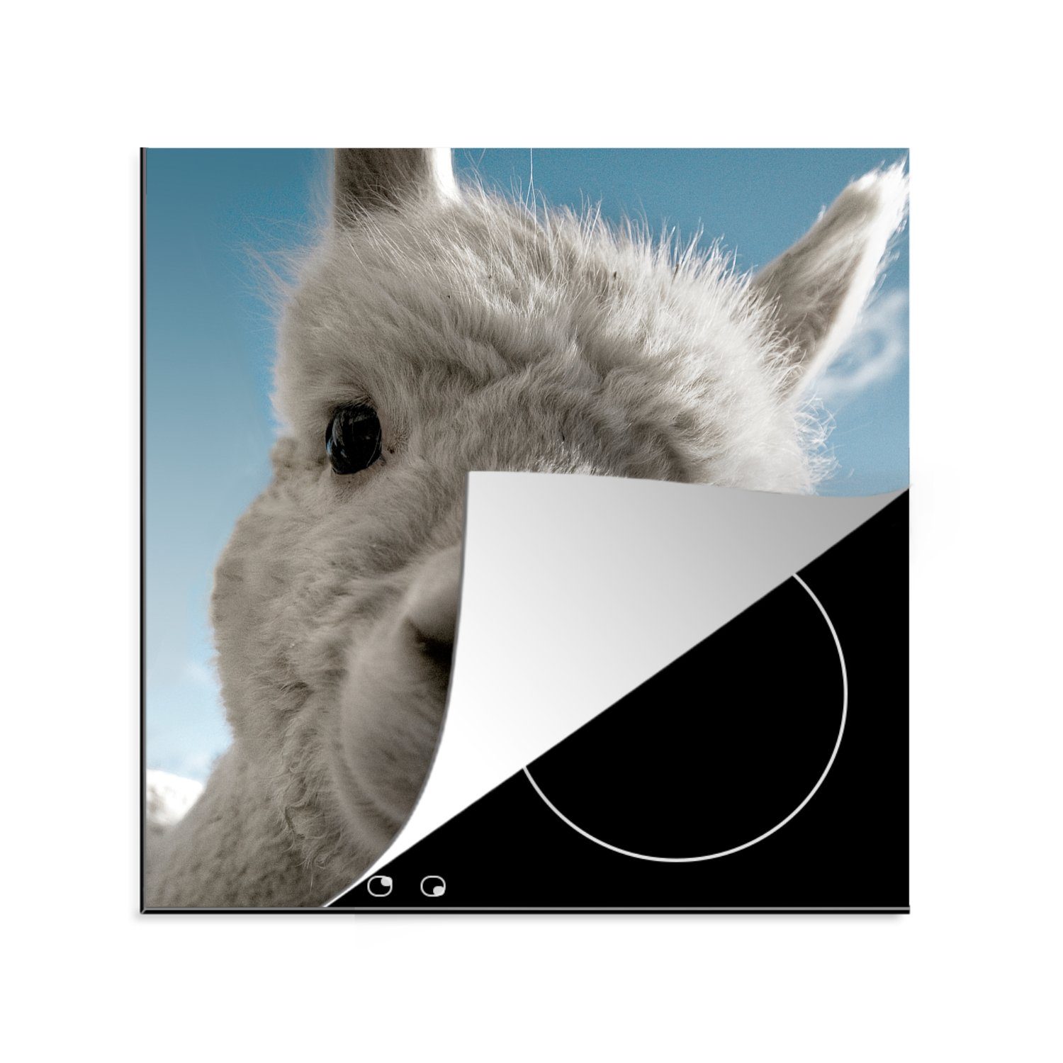 MuchoWow Herdblende-/Abdeckplatte Alpaka - Weiß - Tier, Vinyl, (1 tlg), 78x78 cm, Ceranfeldabdeckung, Arbeitsplatte für küche