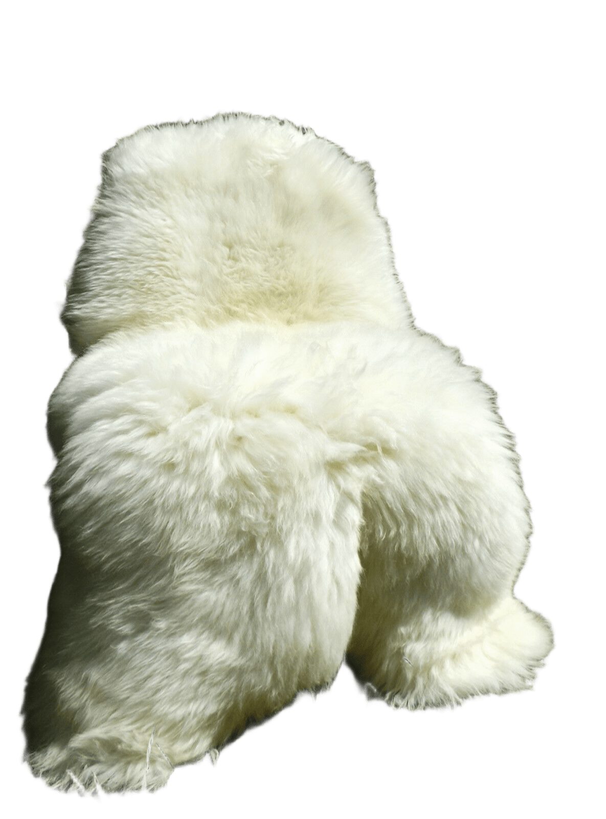 Provellus Fellteppich Riesen Öko Schaffell Typ Eisbär – Naturweiß, über 140 cm, handverlesen