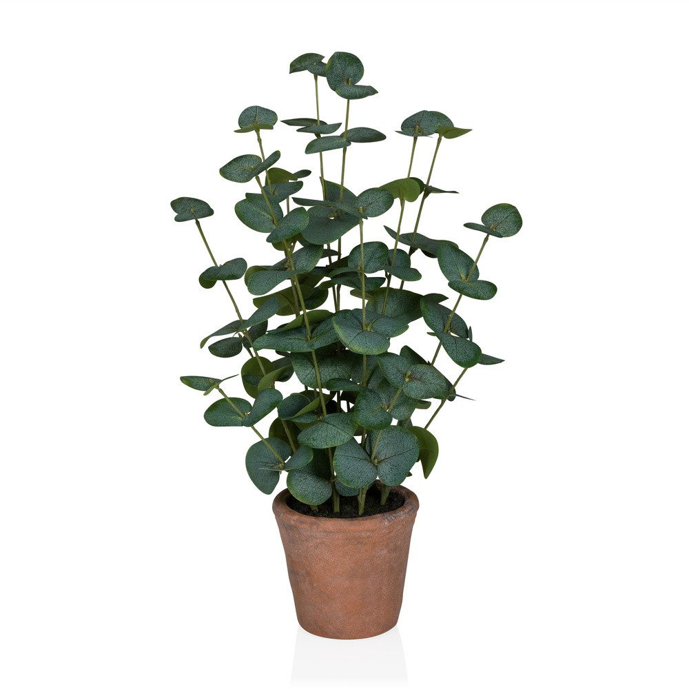 Kunstpflanze Eucalyptus Künstliche Pflanze im Topf Höhe 48.0 cm Eukalyptus, hjh OFFICE, Höhe 48.0 cm, Künstliche Deko Pflanze im Topf