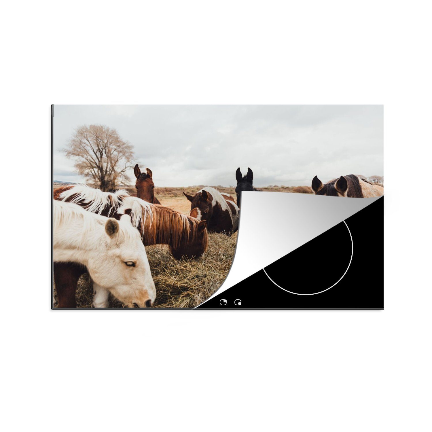 MuchoWow Herdblende-/Abdeckplatte Tiere - Pferd, Vinyl, (1 tlg), 80x52 cm, Induktionskochfeld Schutz für die küche, Ceranfeldabdeckung
