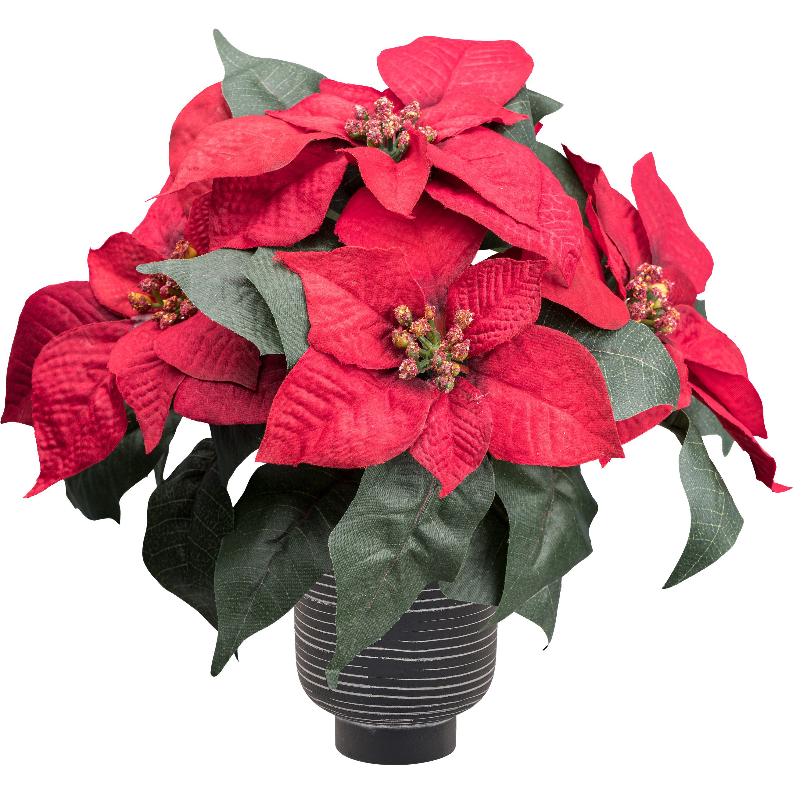 Winterliche Kunstpflanze Weihnachtsstern Poinsettie, OTTO home, Höhe 26 cm, mit naturgetreuen Blüten im Keramiktopf