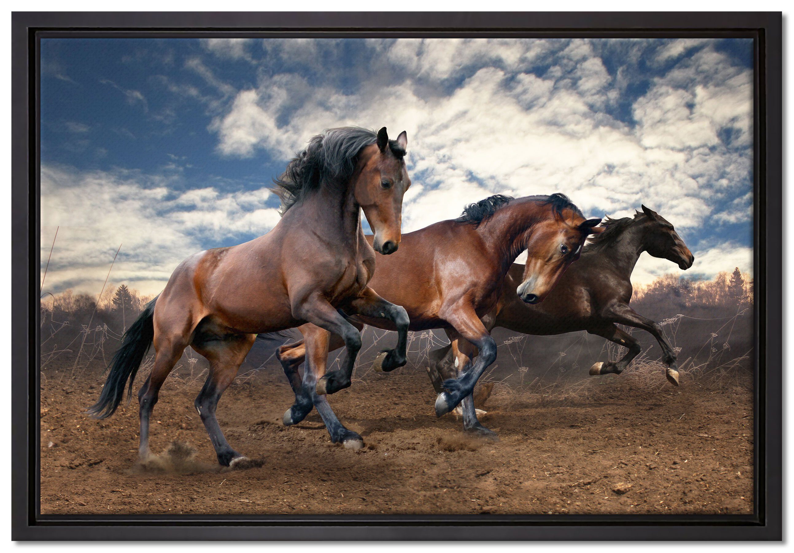 Pixxprint Leinwandbild Wilde freie Pferde, Wanddekoration (1 St), Leinwandbild fertig bespannt, in einem Schattenfugen-Bilderrahmen gefasst, inkl. Zackenaufhänger | Leinwandbilder