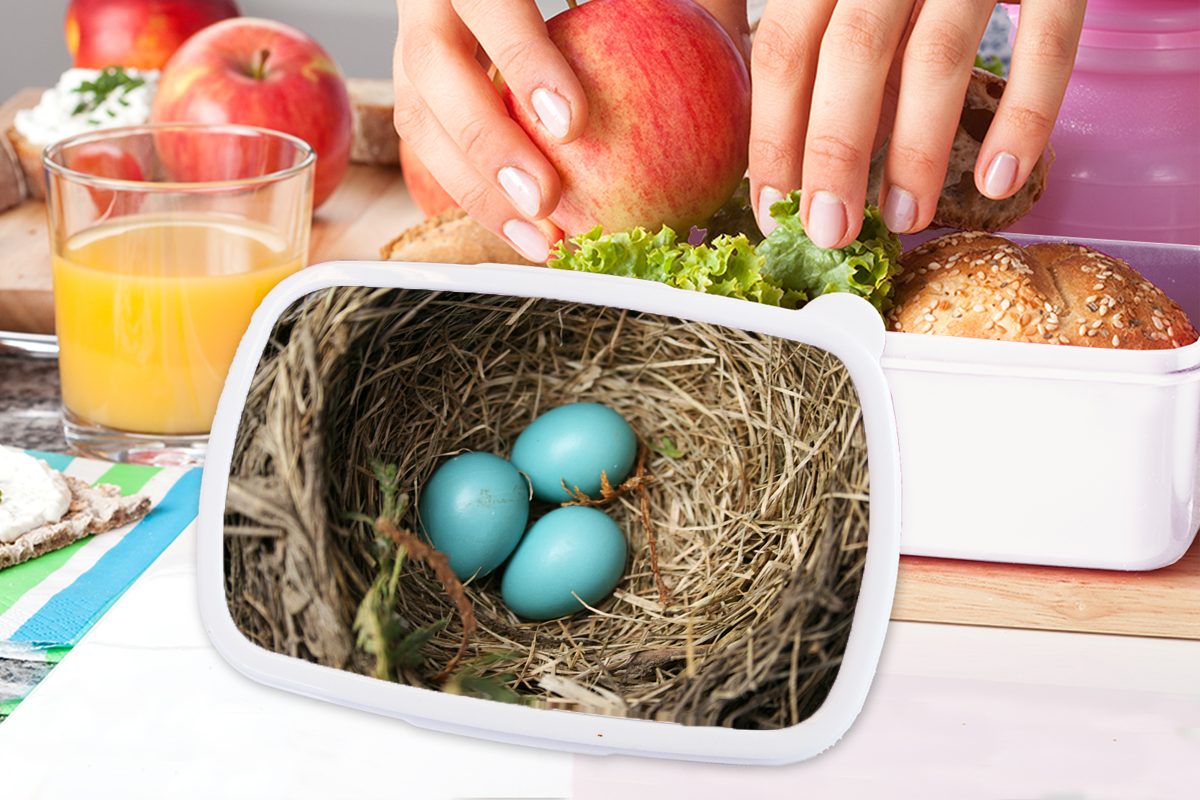 für Kinder Rotkehlchen, Kunststoff, für (2-tlg), Lunchbox Mädchen Eier Jungs und Erwachsene, weiß und Brotdose, - - Brotbox MuchoWow Blau
