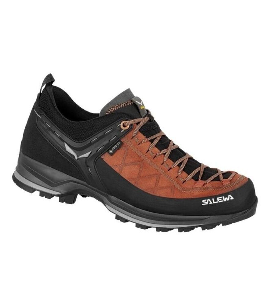 Salewa MTN TRAINER 2 GTX Outdoorschuh