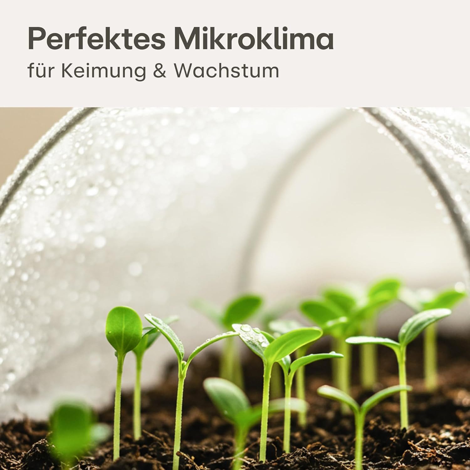 Praknu Gartenvlies 20m² Gartenvlies für Pflanzen 2 x 10m - 17g/m², (1-St), reißfest, UV-stabil, zuschneidbar, wasserdurchlässig, robust