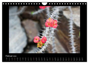 CALVENDO Wandkalender Blumen (Wandkalender 2024 DIN A4 quer), CALVENDO Monatskalender