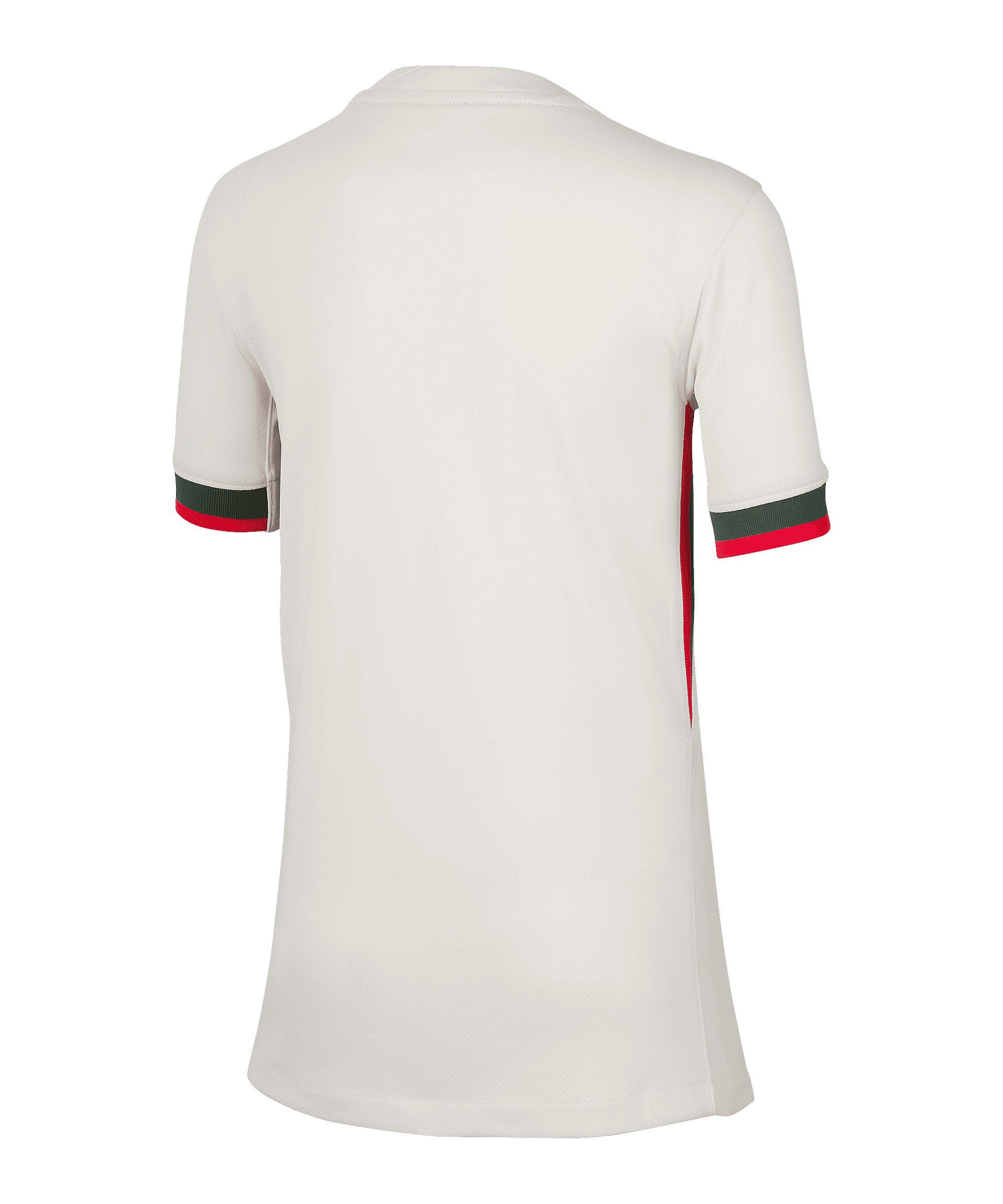 Nike Fußballtrikot Nike Performance Premier League