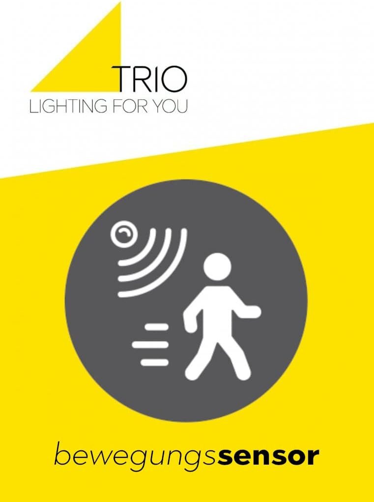 TRIO Leuchten Außen-Wandleuchte Norman, Bewegungssensor, ohne Leuchtmittel, E27 Leuchtmittel (exkl)