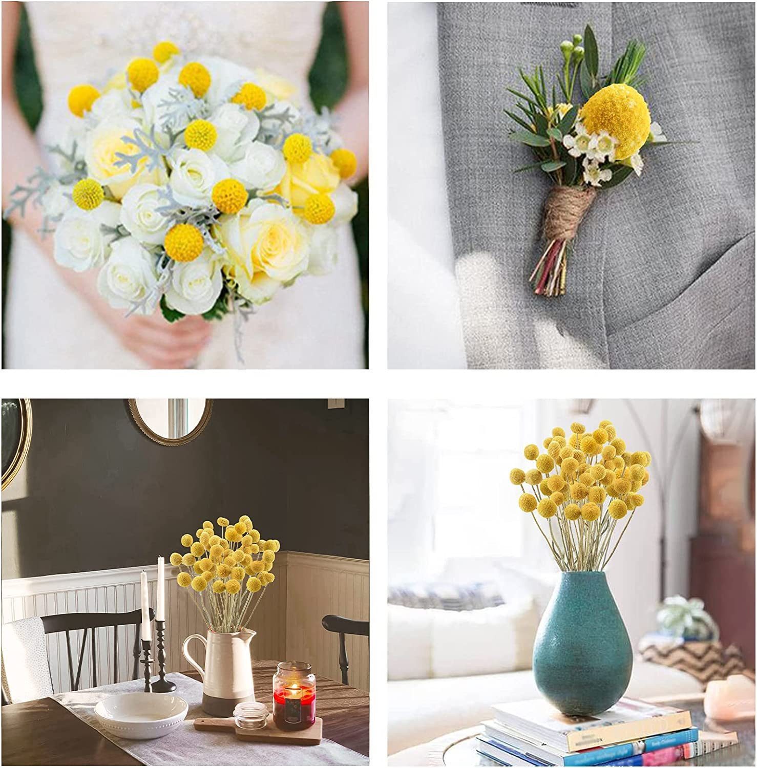 Trockenblume Pampasgras Getrocknete Craspedia Globosa 30 Stück Trockenblumen, Fyrove, Getrocknete Blumen für Blumenarrangements, Hochzeit,Vase,Dekoration – Bild 5 von 5