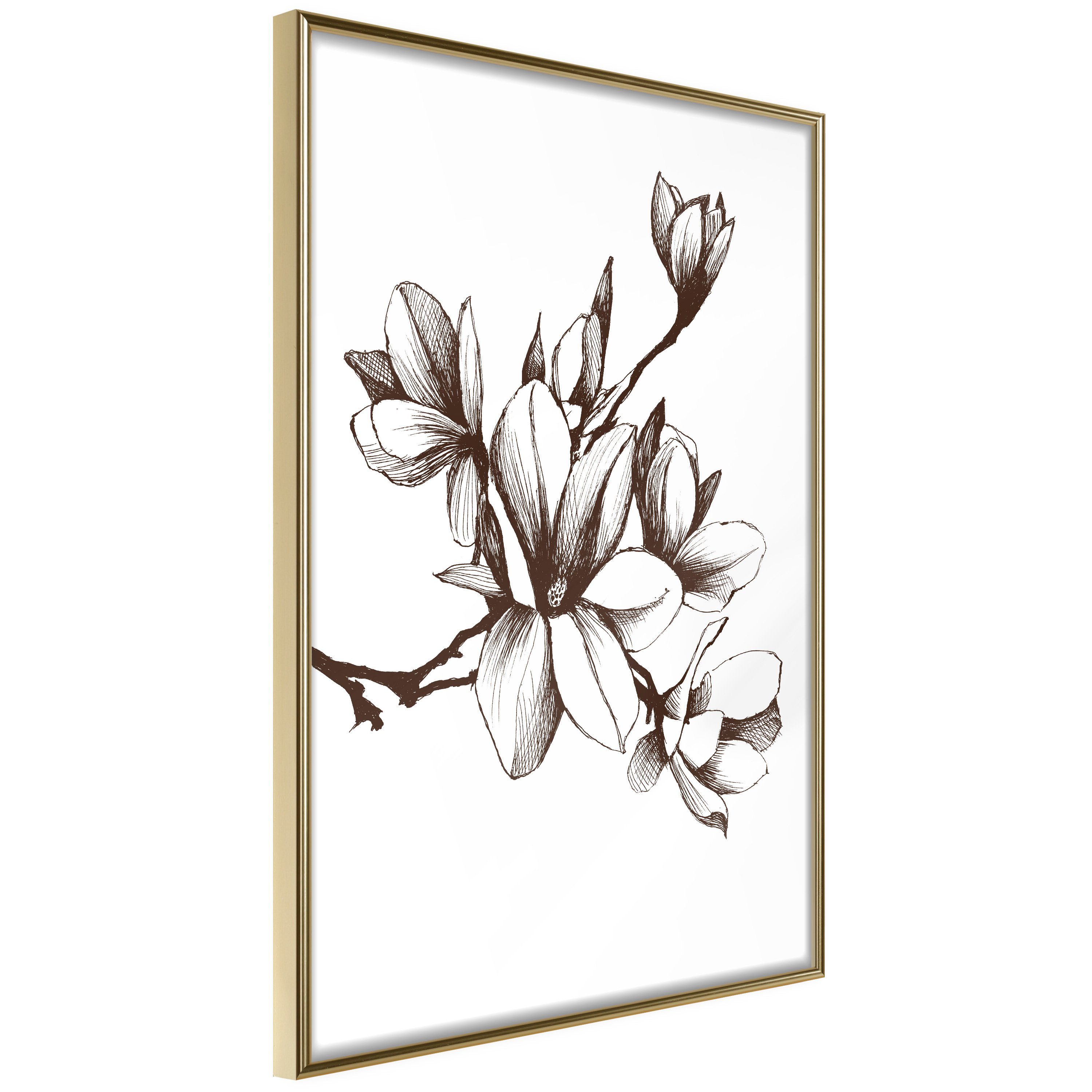 Artgeist Poster Renaissance Magnolias