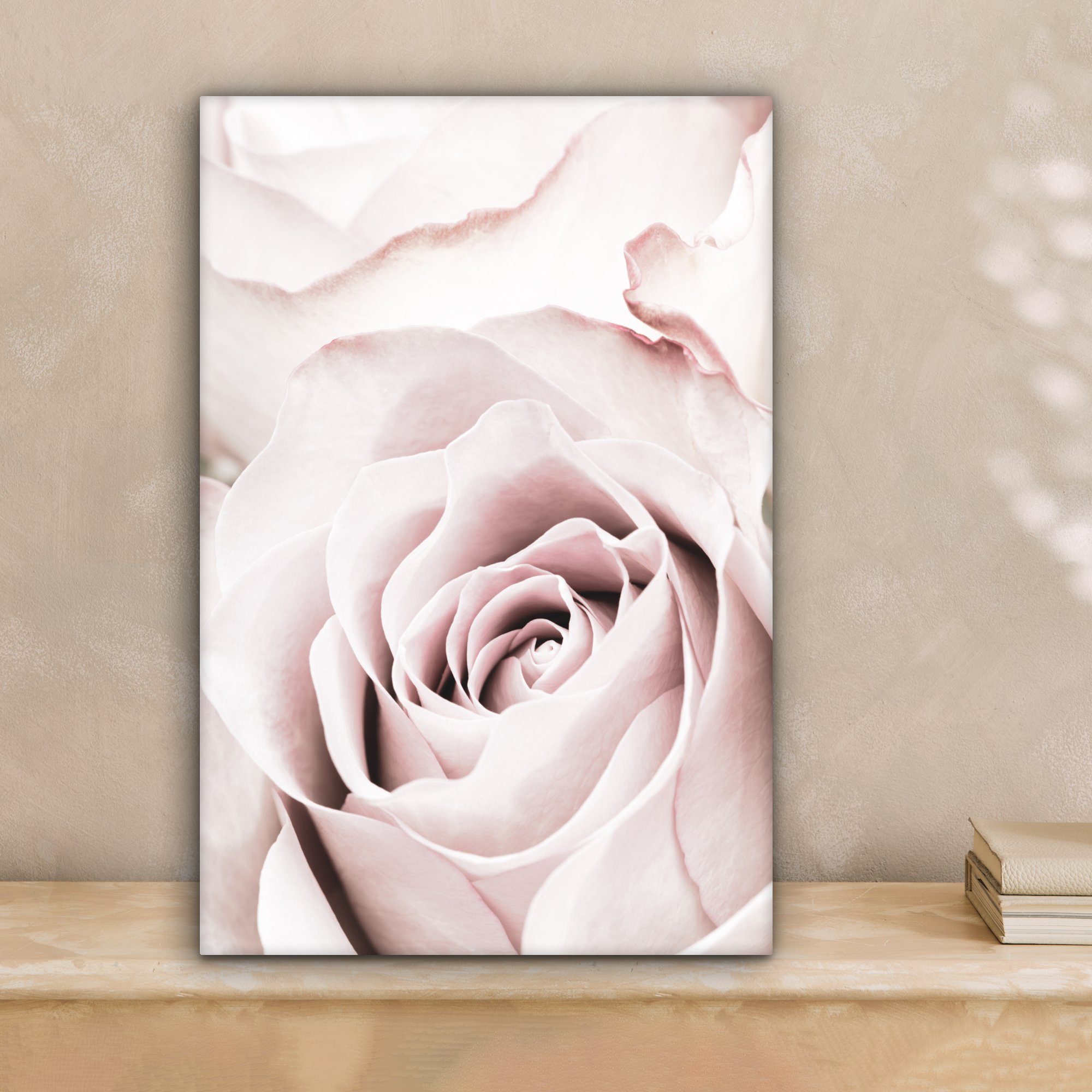 OneMillionCanvasses® Leinwandbild Blumen - Rose - Rosa - Botanisch, Fotodru günstig online kaufen