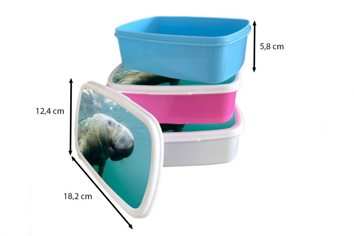 (2-tlg), Kunststoff, Lunchbox Jungs Kinder MuchoWow Kamera, für Tiere Wasser für - Brotdose, und weiß - Brotbox und Mädchen Erwachsene,