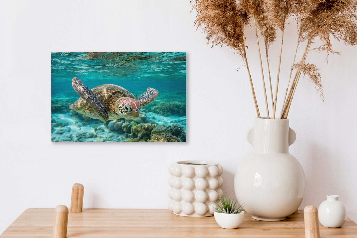 OneMillionCanvasses® Leinwandbild Eine Schildkröte schwimmt Wasser Wanddeko, Aufhängefertig, (1 Leinwandbilder, 30x20 cm unter in St), Wandbild Bodennähe
