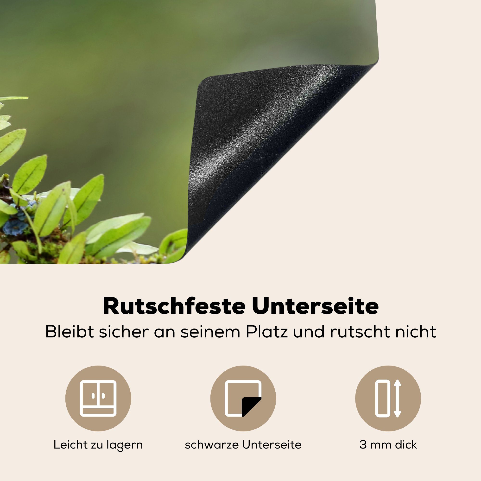 küche, blühenden Vinyl, Herdblende-/Abdeckplatte Schutz 81x52 Tukan MuchoWow cm, auf Ein Ceranfeldabdeckung für die Zweig, (1 einem tlg), Induktionskochfeld