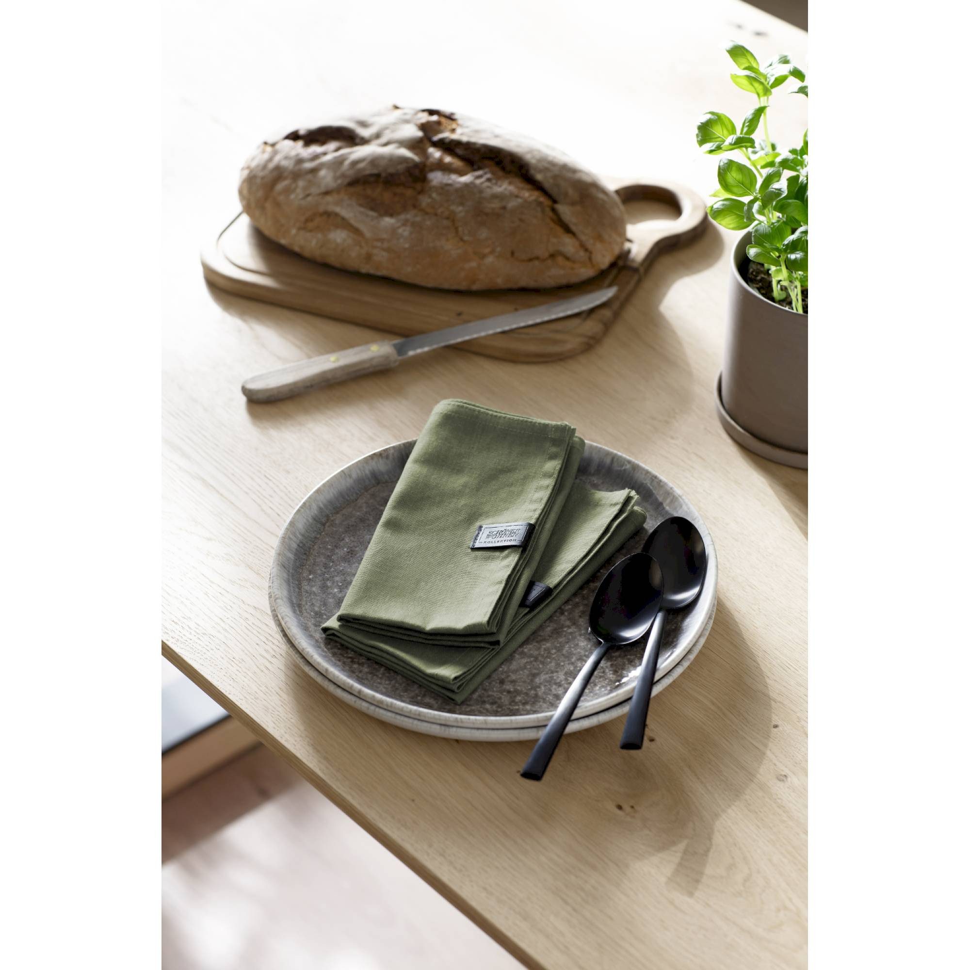 SCHÖNER WOHNEN-Kollektion Platzset FS26 Servietten, (Packung, 2-St), 40 x 40 cm in Grün