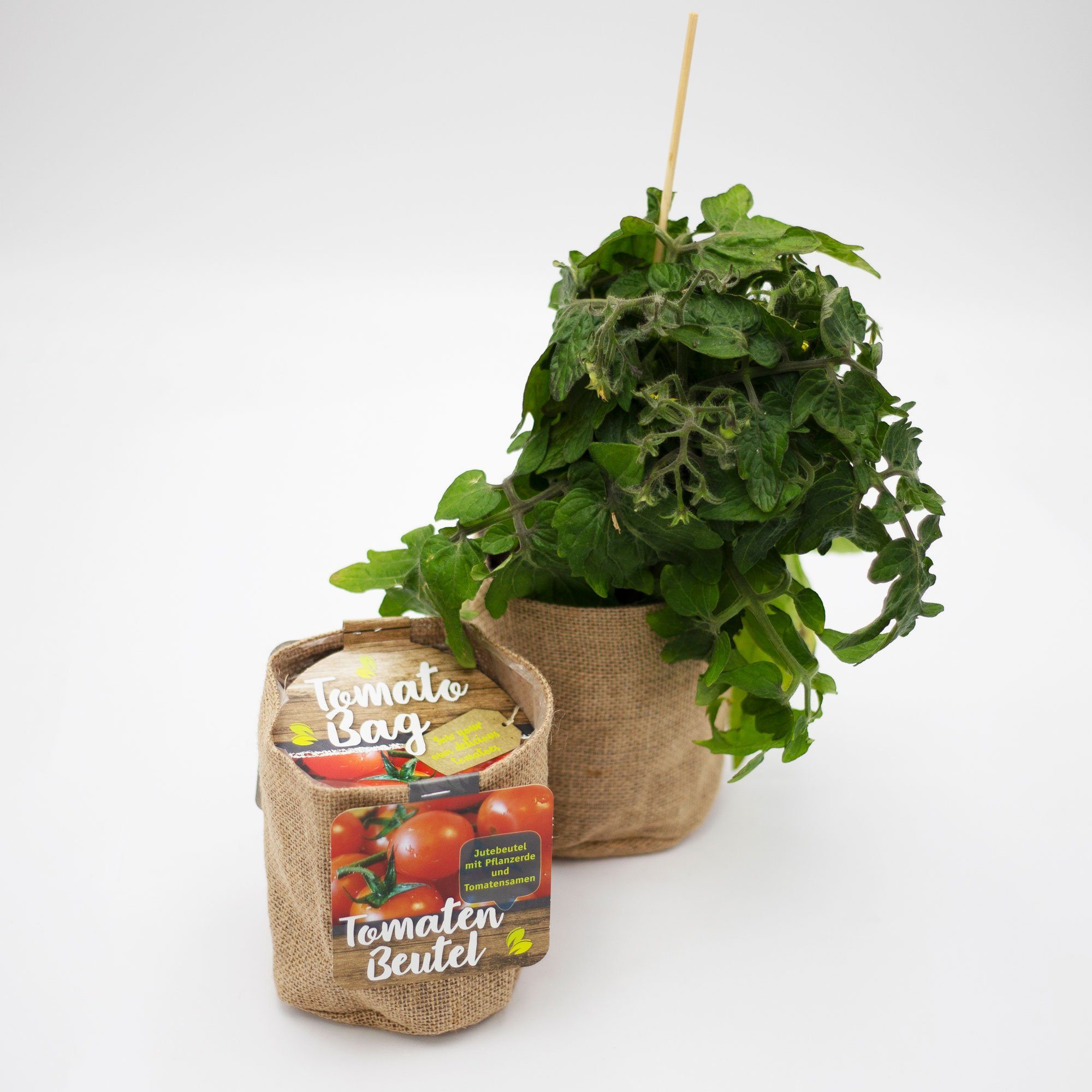 UNUS GARDEN Blumenerde »Anzuchtset Tomaten Jutebeutel« online kaufen | OTTO