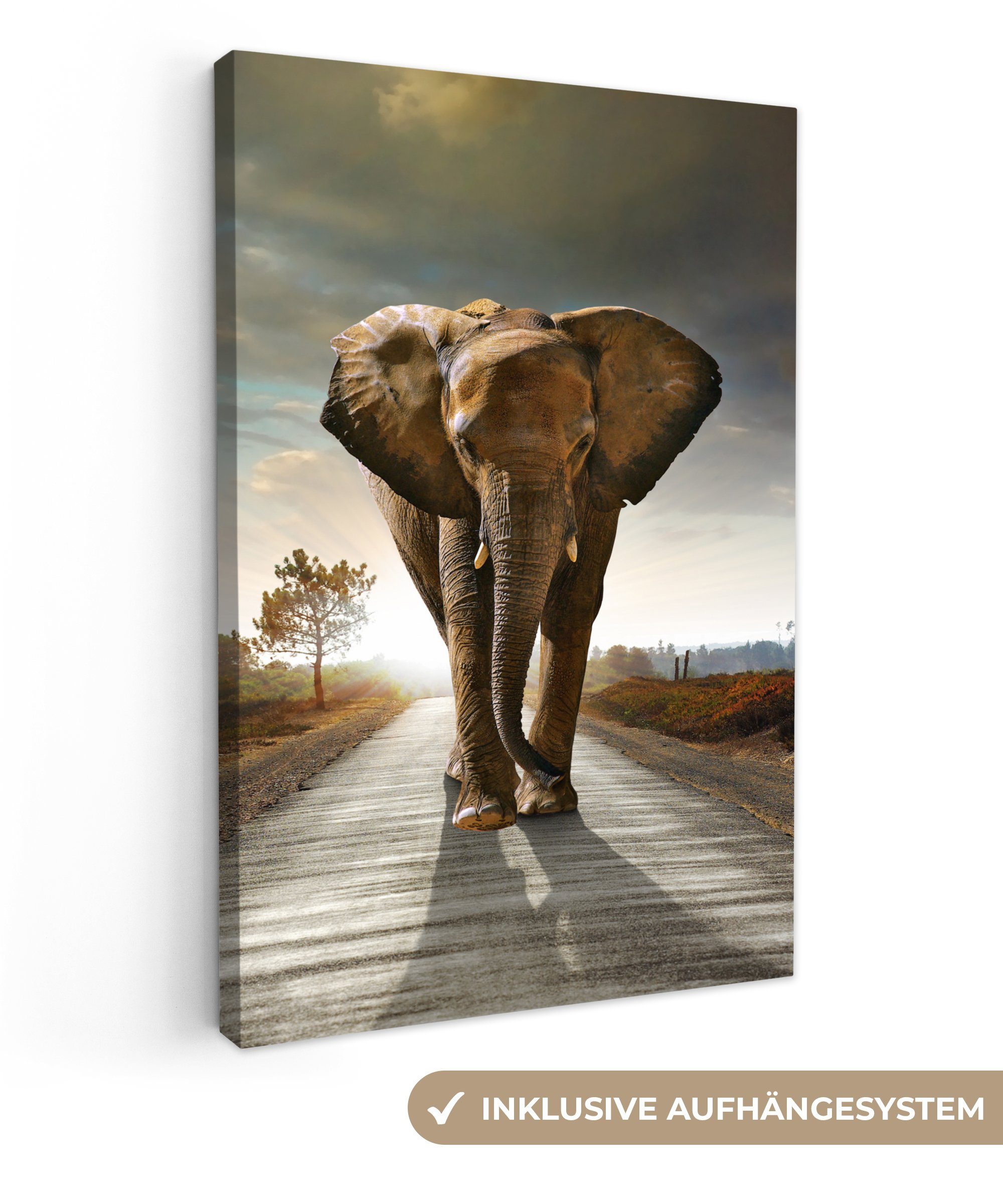 OneMillionCanvasses® Leinwandbild Elefant - Straße - günstig online kaufen
