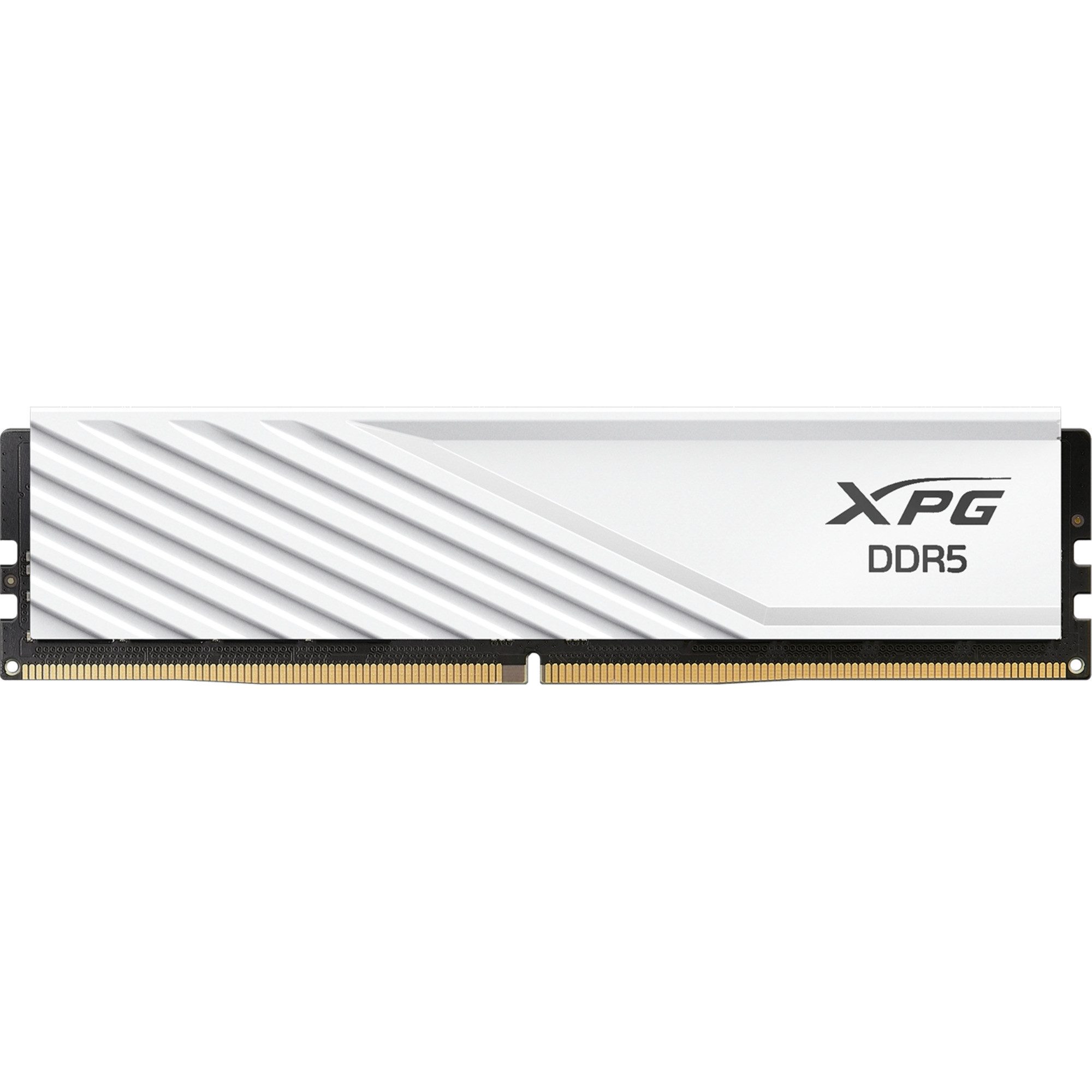 ADATA DIMM 16 GB DDR5-6000, Arbeitsspeicher Arbeitsspeicher