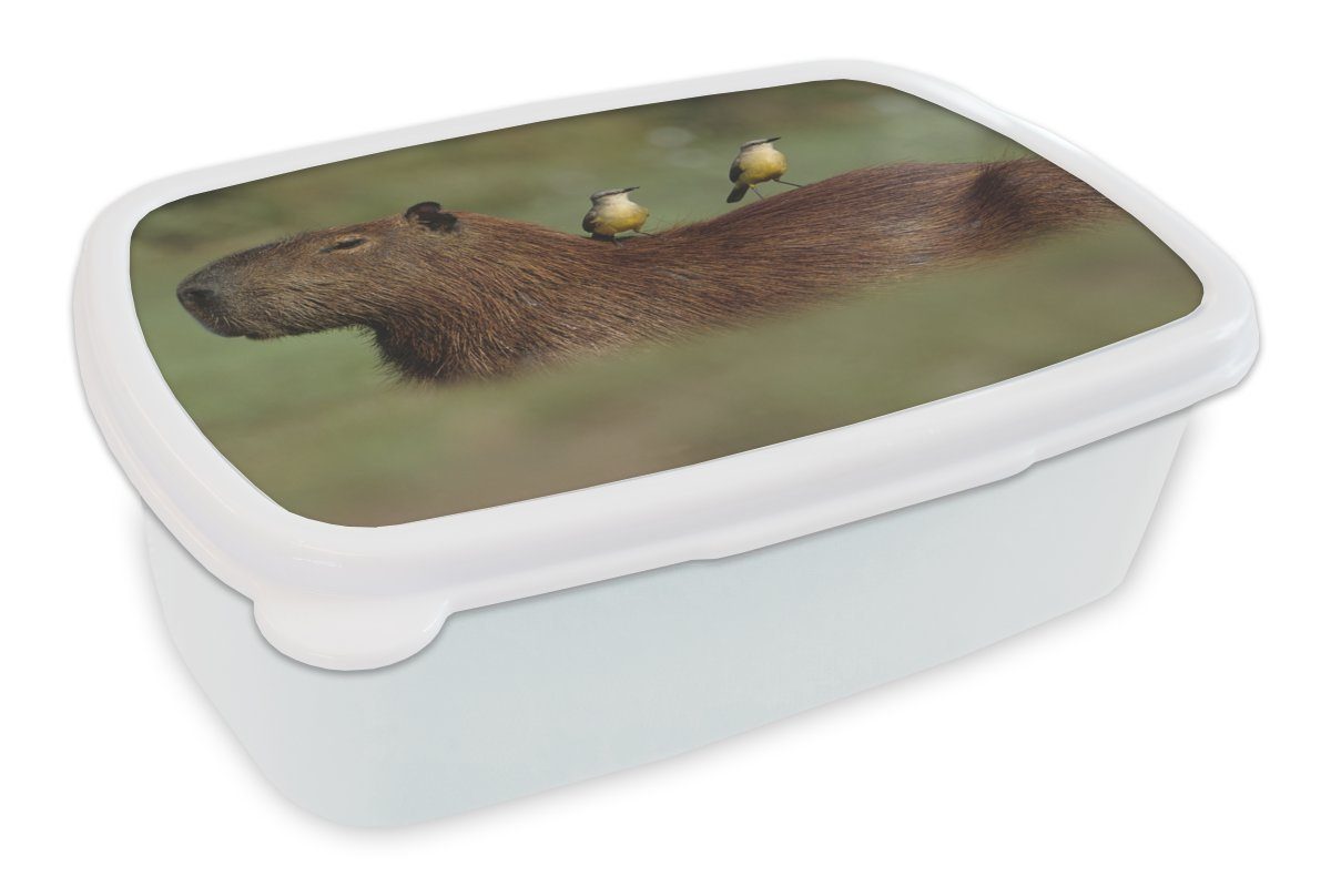 MuchoWow Lunchbox Zwei Vögel sitzen auf einem Capybara, Kunststoff, (2-tlg), Brotbox für Kinder und Erwachsene, Brotdose, für Jungs und Mädchen weiß