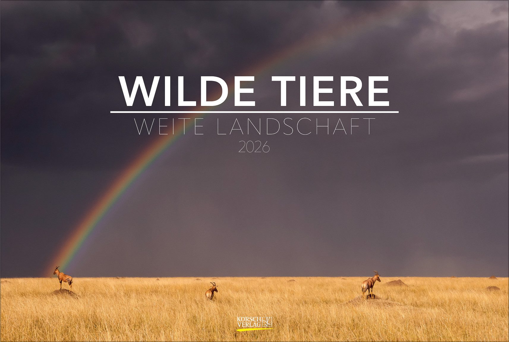 Korsch Verlag Tierkalender Korsch Календари Wilde Tiere - weite Landschaft 2026, Panoramakalender