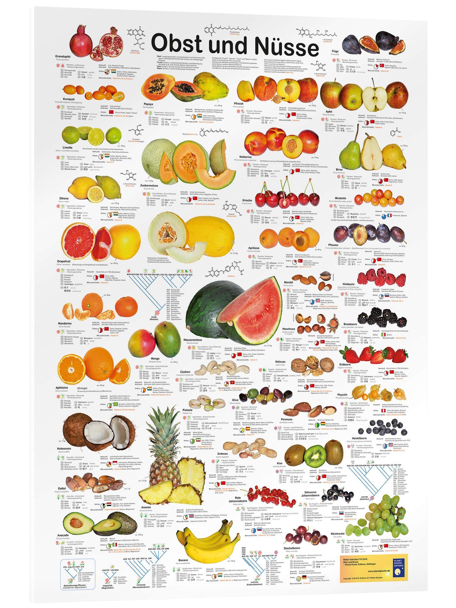 Posterlounge Poster Planet Poster Editions, Obst günstig online kaufen