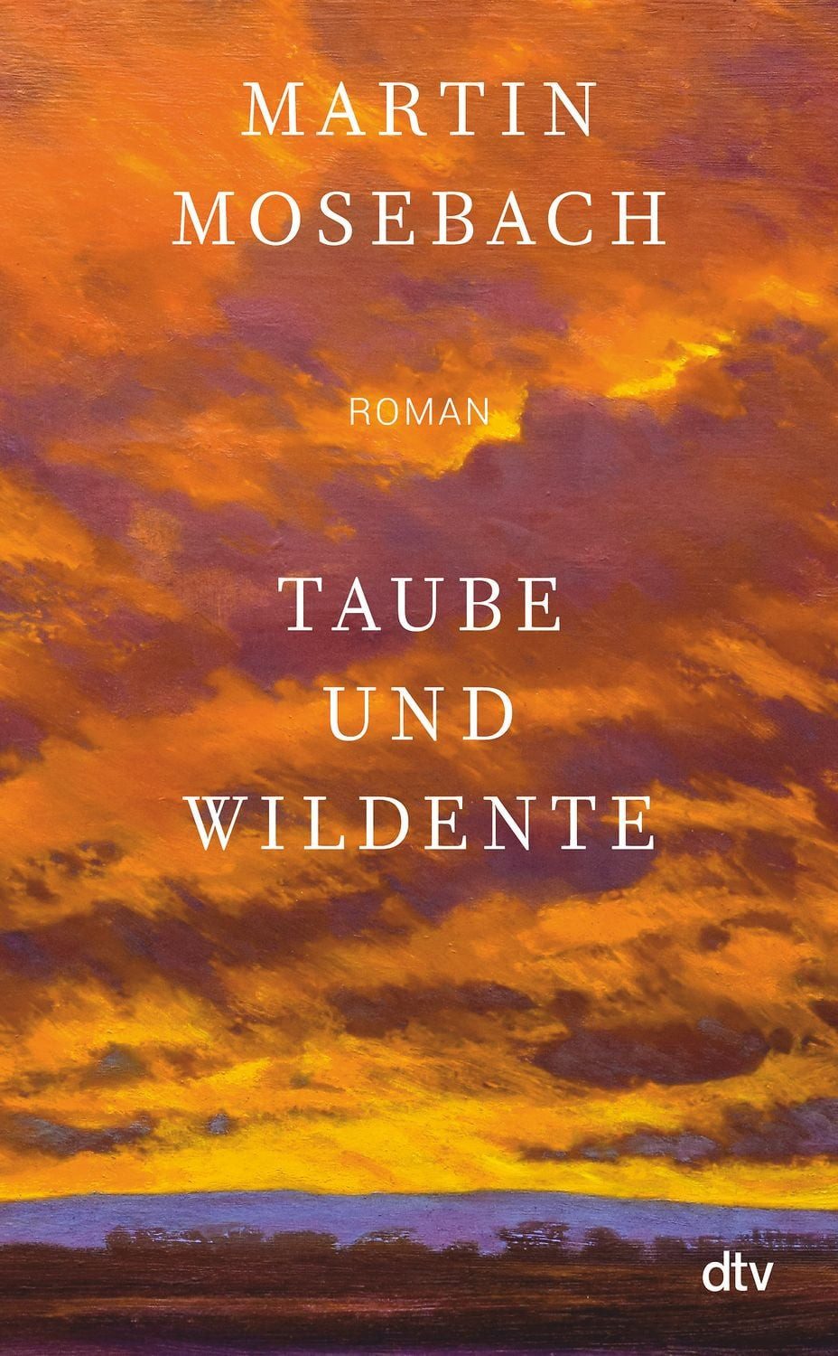 Taube und Wildente / Martin Mosebach, Roman, »Ein unerhörtes Stück Literatur über Liebe, Kunst und Verrat samt glorioser Pointe.« Tobias Haberl, Süddeutsche Zeitung