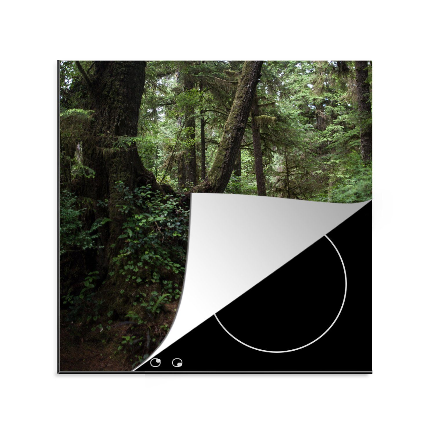 (1 MuchoWow Arbeitsplatte Wäldern Costa Ricas, in für küche Vinyl, 78x78 Herdblende-/Abdeckplatte Holzbrücke tlg), cm, moosbewachsenen Ceranfeldabdeckung, den