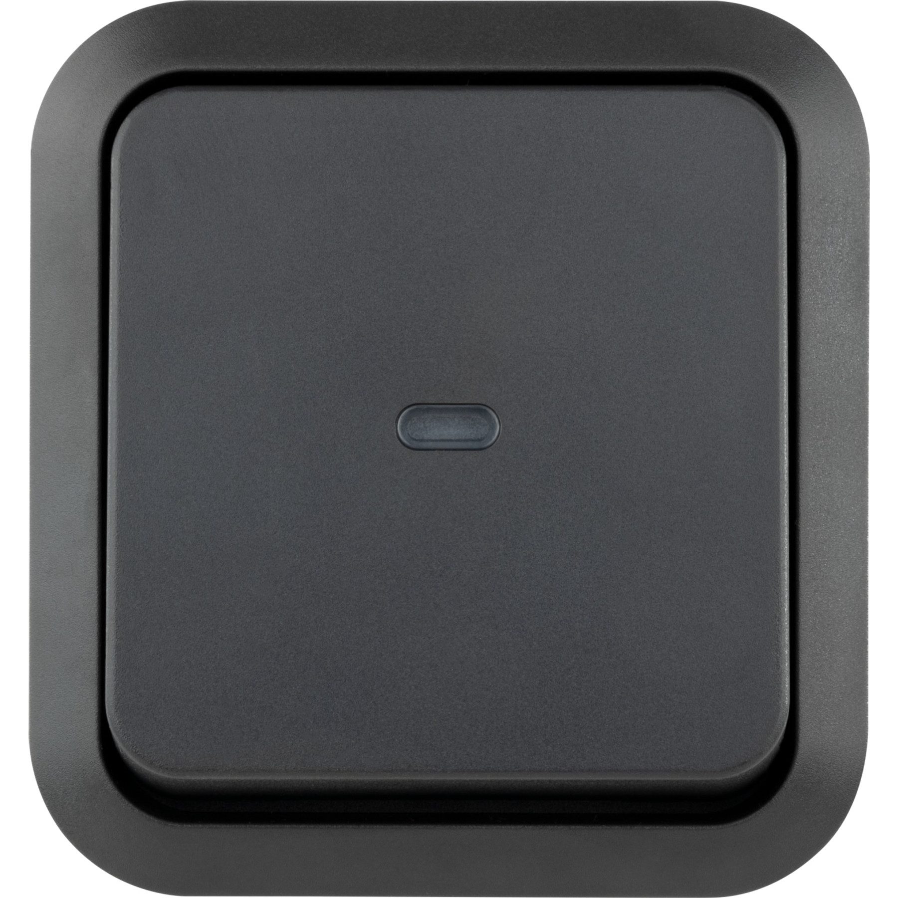 REV Schalter REV Feuchtraum-Kontroll-Schalter AquaStorm, AP, grau