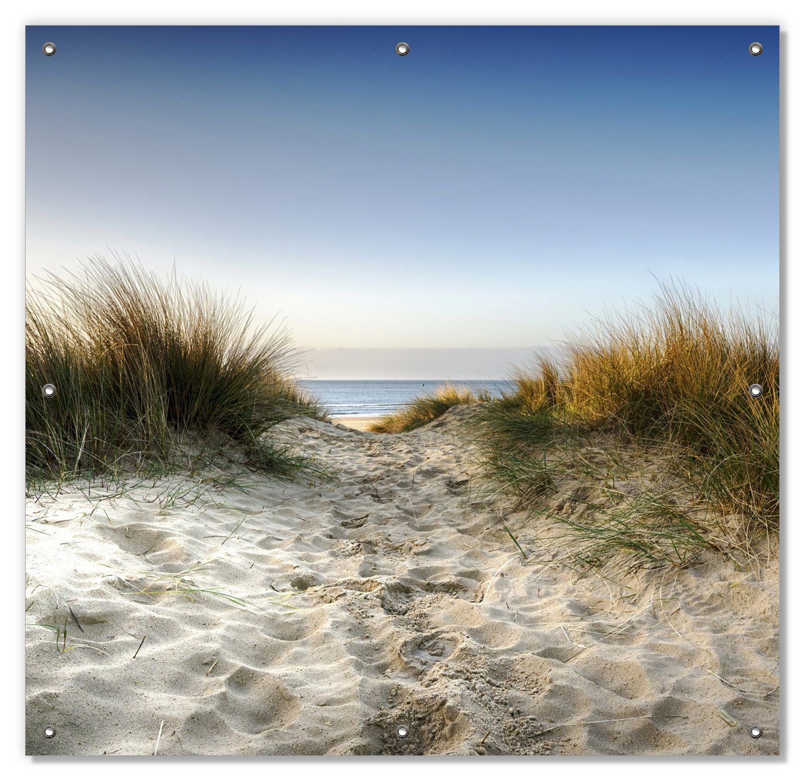 Sonnenschutz Weg durch die Dünen zum Strand am Meer, Wallario, blickdicht, mit Saugnäpfen, wiederablösbar und wiederverwendbar