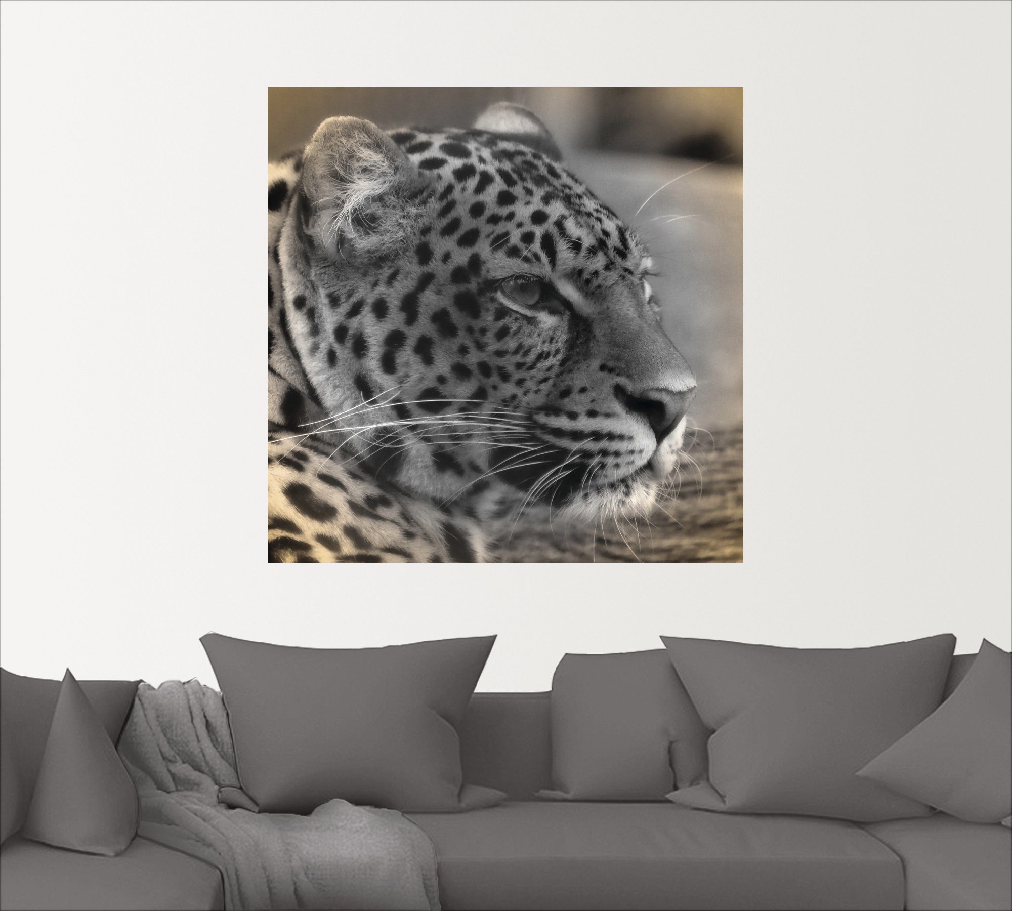 oder (1 Poster versch. Größen Alubild, Leinwandbild, Wandbild in Profil, als Artland St), Wandaufkleber Wildtiere Leopard