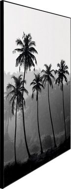 Reinders! Wandbild Slim Frame Black 50x70 High Palms
