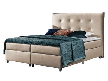 MIRJAN24 Boxspringbett Prato (Pocket-Taschenfedern, Matratze + Topper), Polsterbett, Stilvoll Bettgestell