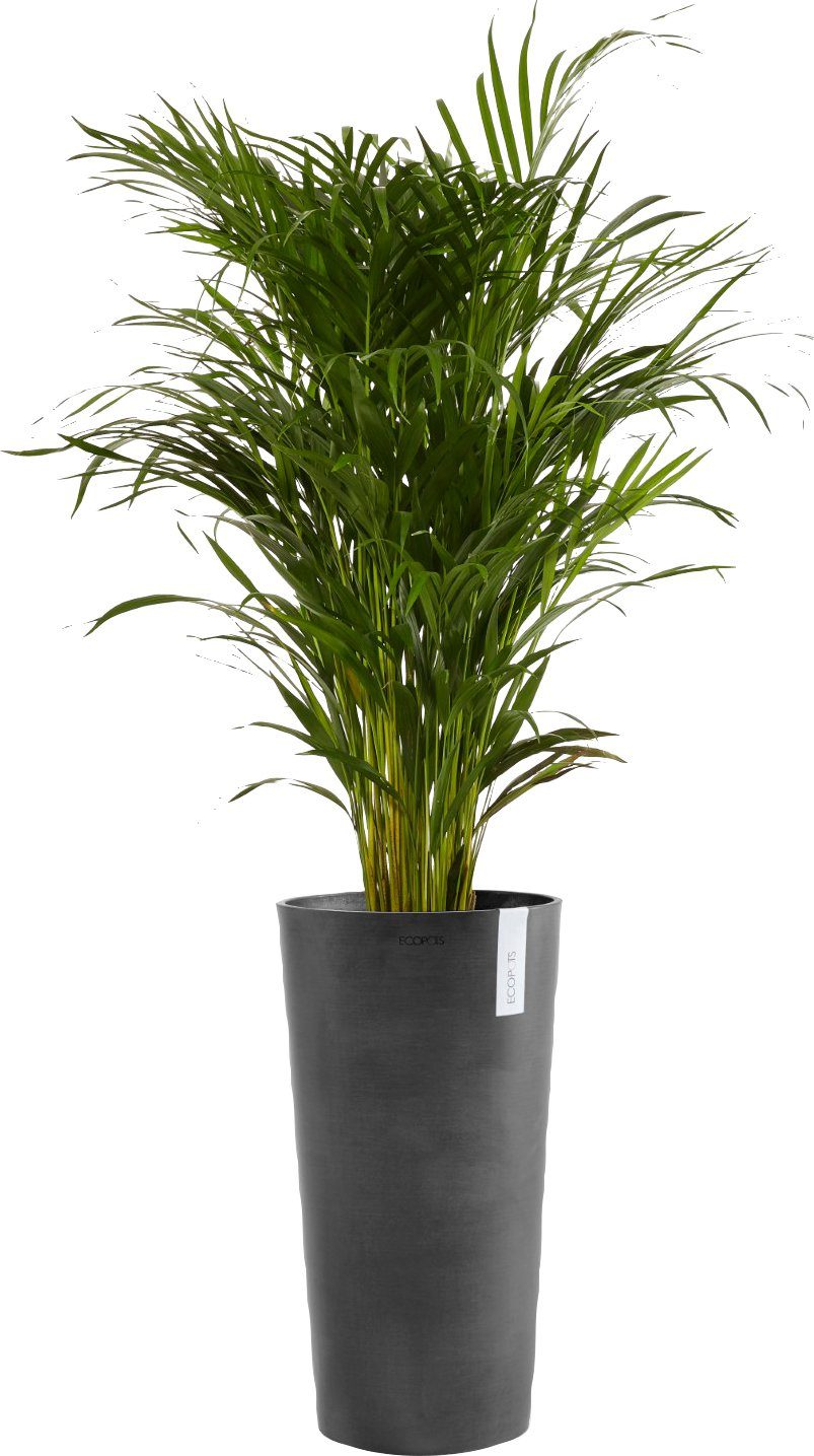 ECOPOTS Blumentopf AMSTERDAM HIGH Dark Grey, günstig online kaufen