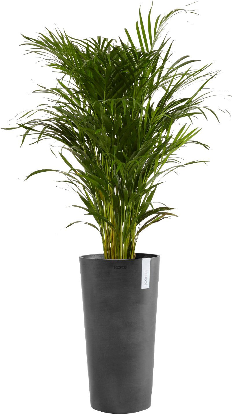 AMSTERDAM Dark cm BxTxH: ECOPOTS HIGH Grey, Blumentopf 41x41x76