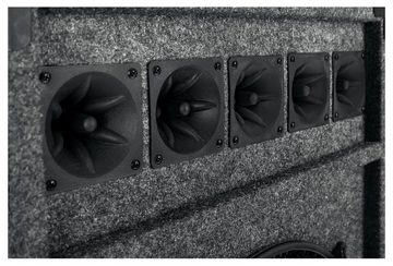 McGrey PA Lautsprecherbox mit 38cm (15) Subwoofer 2-Wege System, Holzgehäuse Lautsprecher (300 W, Passiv-Speaker mit Bassreflex-Rohren)