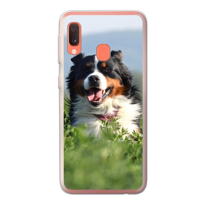MuchoWow Handyhülle Ein Berner Sennenhund im hohen Gras Handyhülle Samsung Galaxy A20e Smartphone-Bumper Print Handy