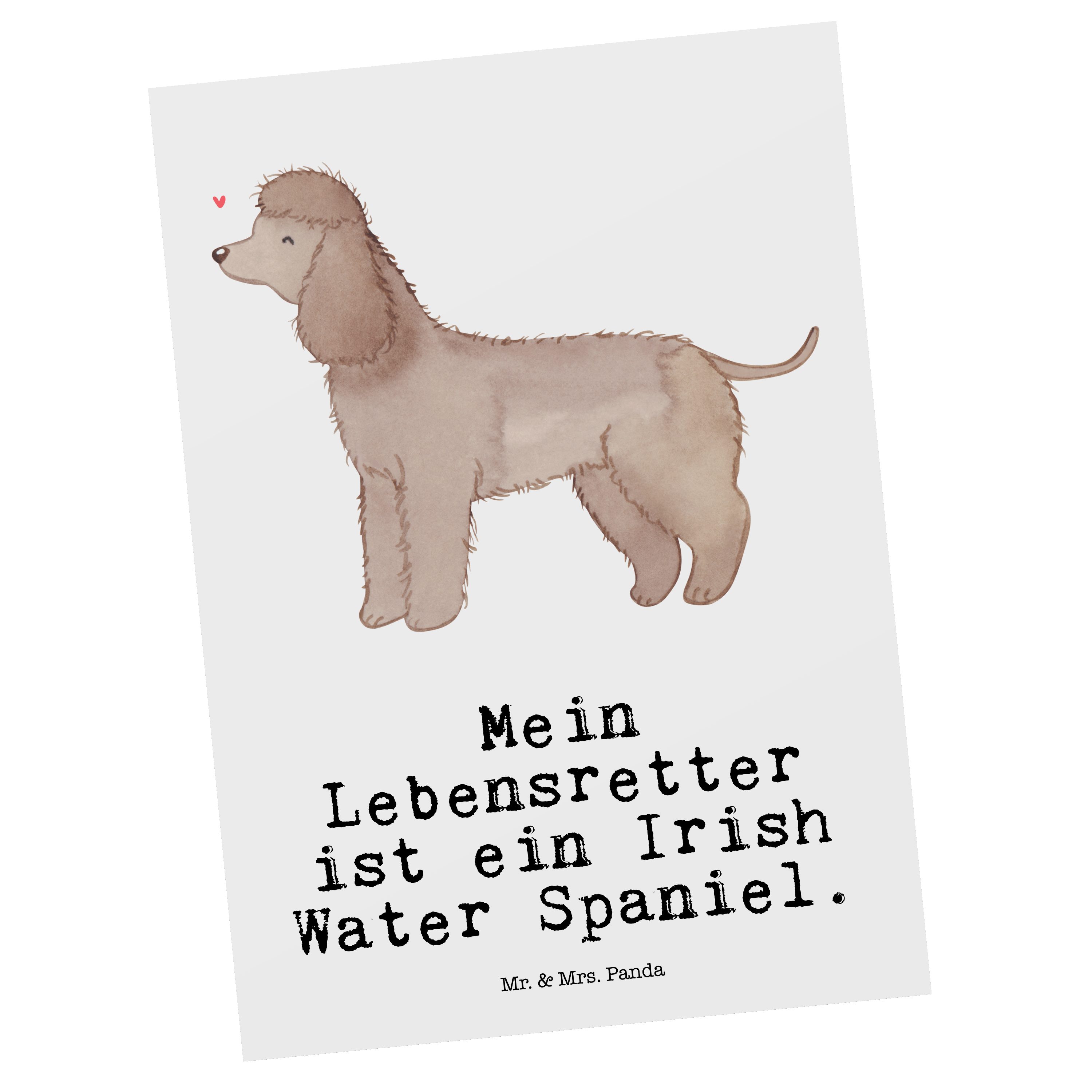 Mr. & Mrs. Panda Postkarte Irish Water Spaniel Lebensretter - Weiß - Geschenk, Geburtstagskarte