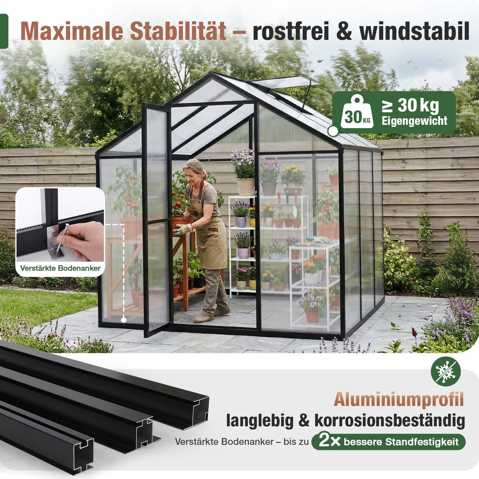 Sekey Gewächshaus Aluminium Treibhaus Garten Pflanzen Tomatenhaus wetterfest Schiebetür, 185x185x195cm, Hohlkammerplatten UV-stabilisiert Gartenhaus mit Griff – Bild 2 von 5