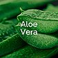 Scholl Fußmaske »Expert Care Intensiv pflegend mit Aloe Vera«, in Socken, Bild 5
