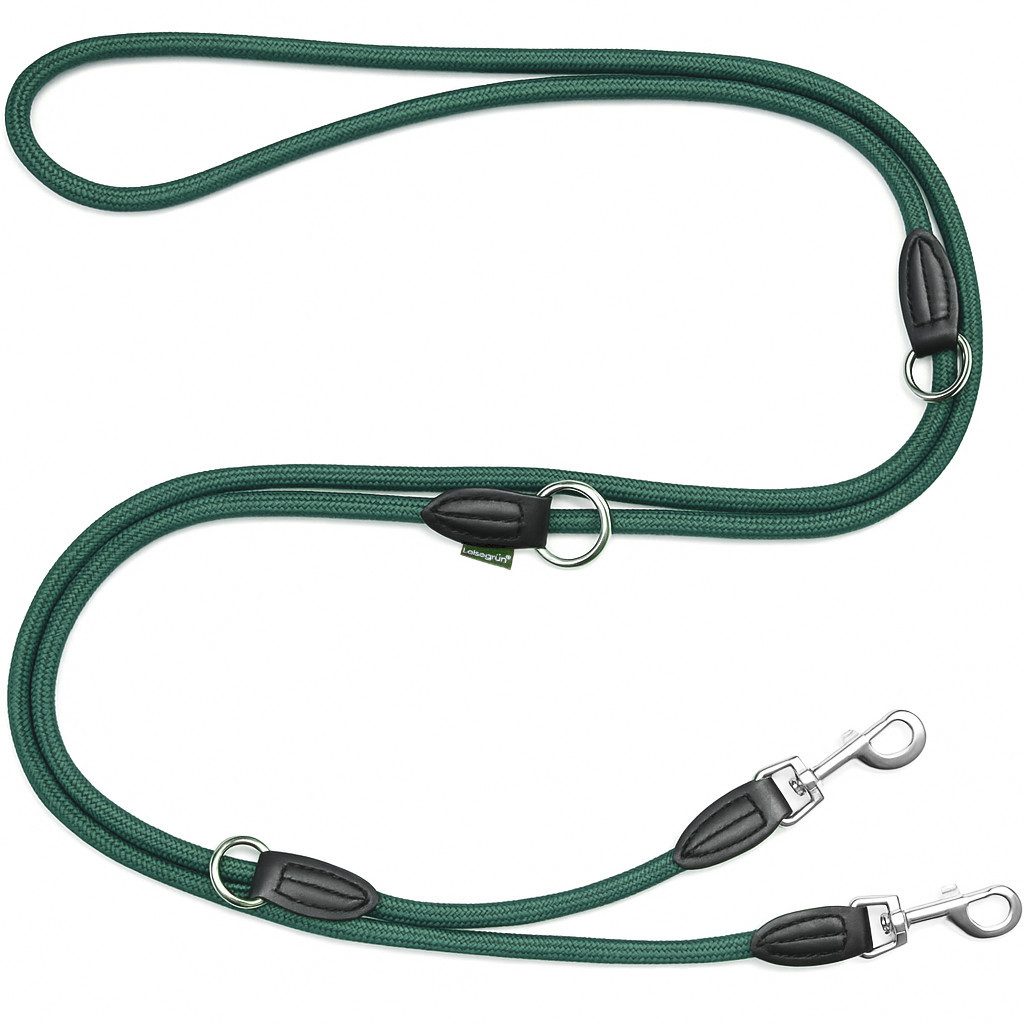Leisegrün Hundeleine Hundeleine für große Hunde, Hundeleine 3m verstellbar - Grün, Nylon