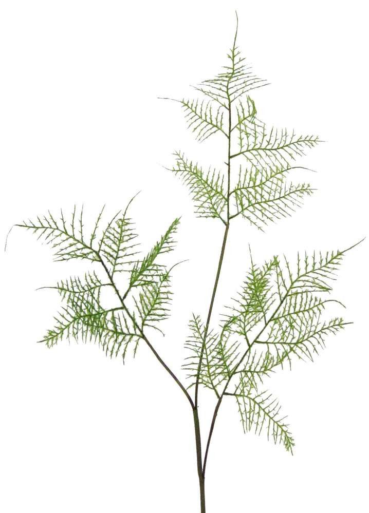 Kunstzweig Kunstpflanze FARNZWEIG ca 84cm. Künstlicher Farn, Beiwerk in GRÜN