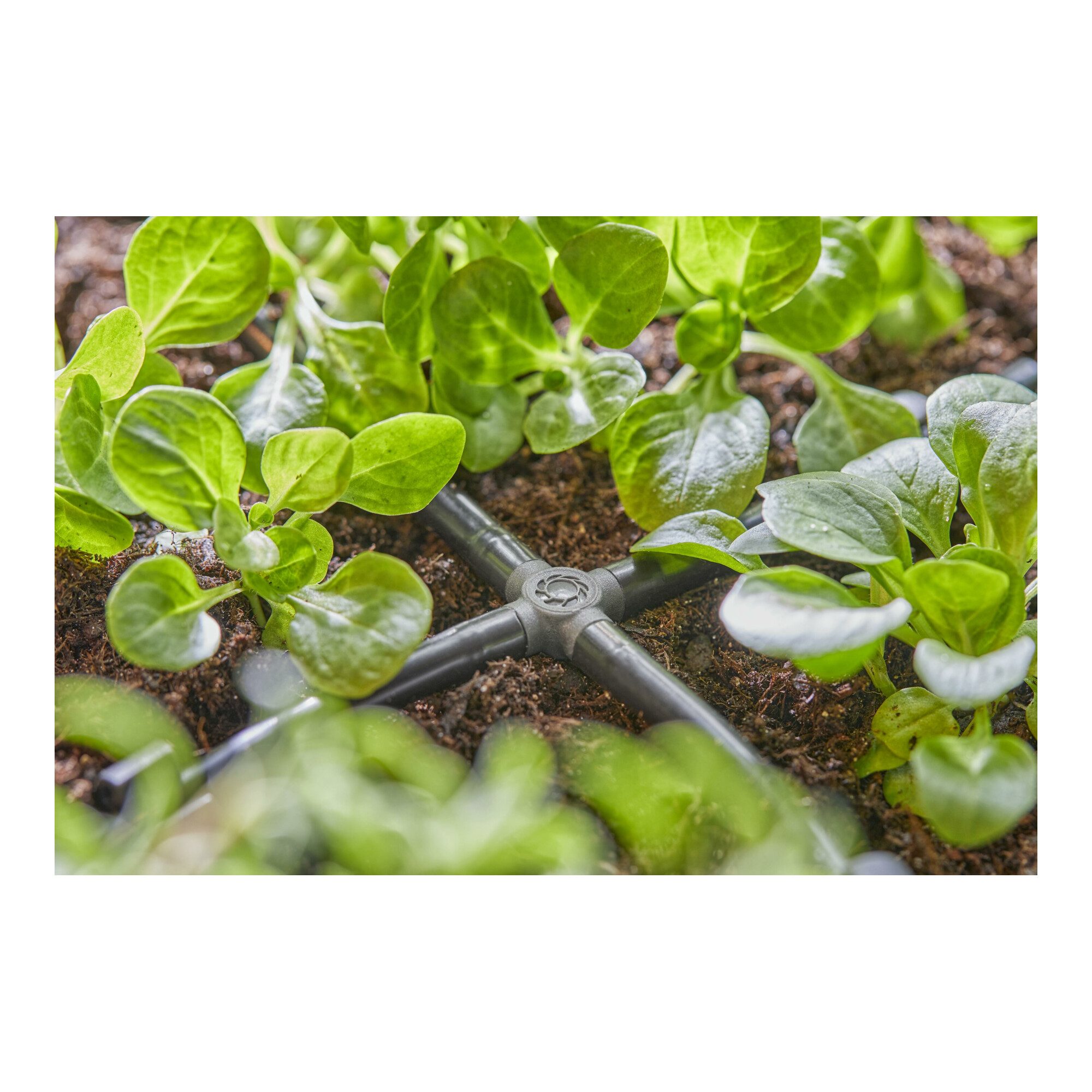 GARDENA Bewässerungssystem Gardena Micro-Drip-System Kreuzstück 4,6 mm (3/16) 10 Stk