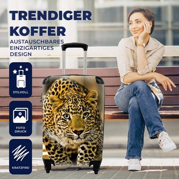 MuchoWow Handgepäckkoffer Leopard - Raubtier - Porträt, 4 Rollen, Reisetasche mit rollen, Handgepäck für Ferien, Trolley, Reisekoffer