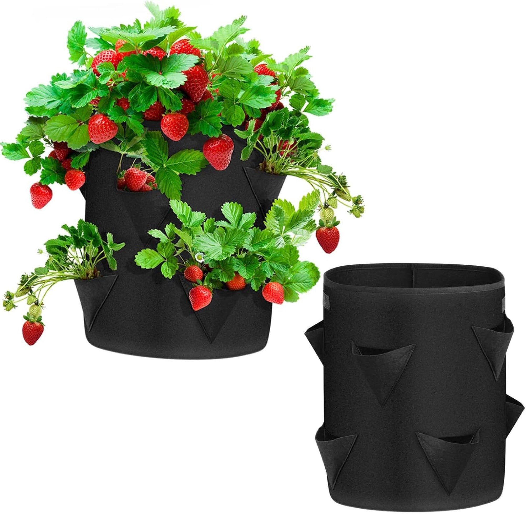 TLSUNNY Pflanzentreppe Jungle Grow Bag Set: günstig online kaufen