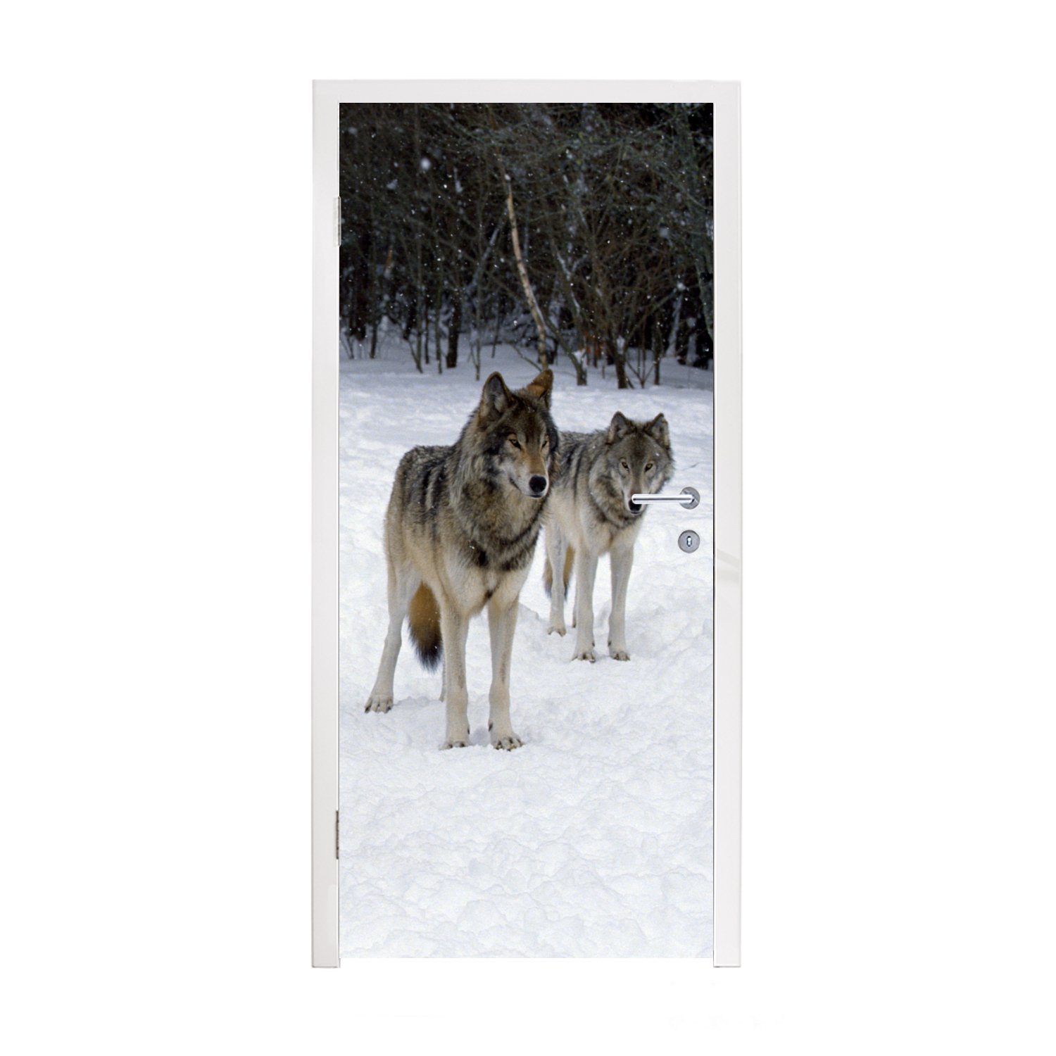 MuchoWow Türtapete Wolf - Schnee - Kanada, Matt, bedruckt, (1 St), Fototapete für Tür, Türaufkleber, 75x205 cm