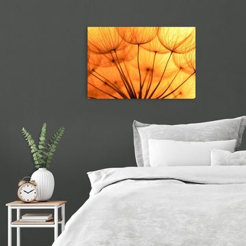 wandmotiv24 Leinwandbild Pusteblume Orange, Blumen und Pflanzen (1 St), Wandbild, Wanddeko, Leinwandbilder in versch. Größen