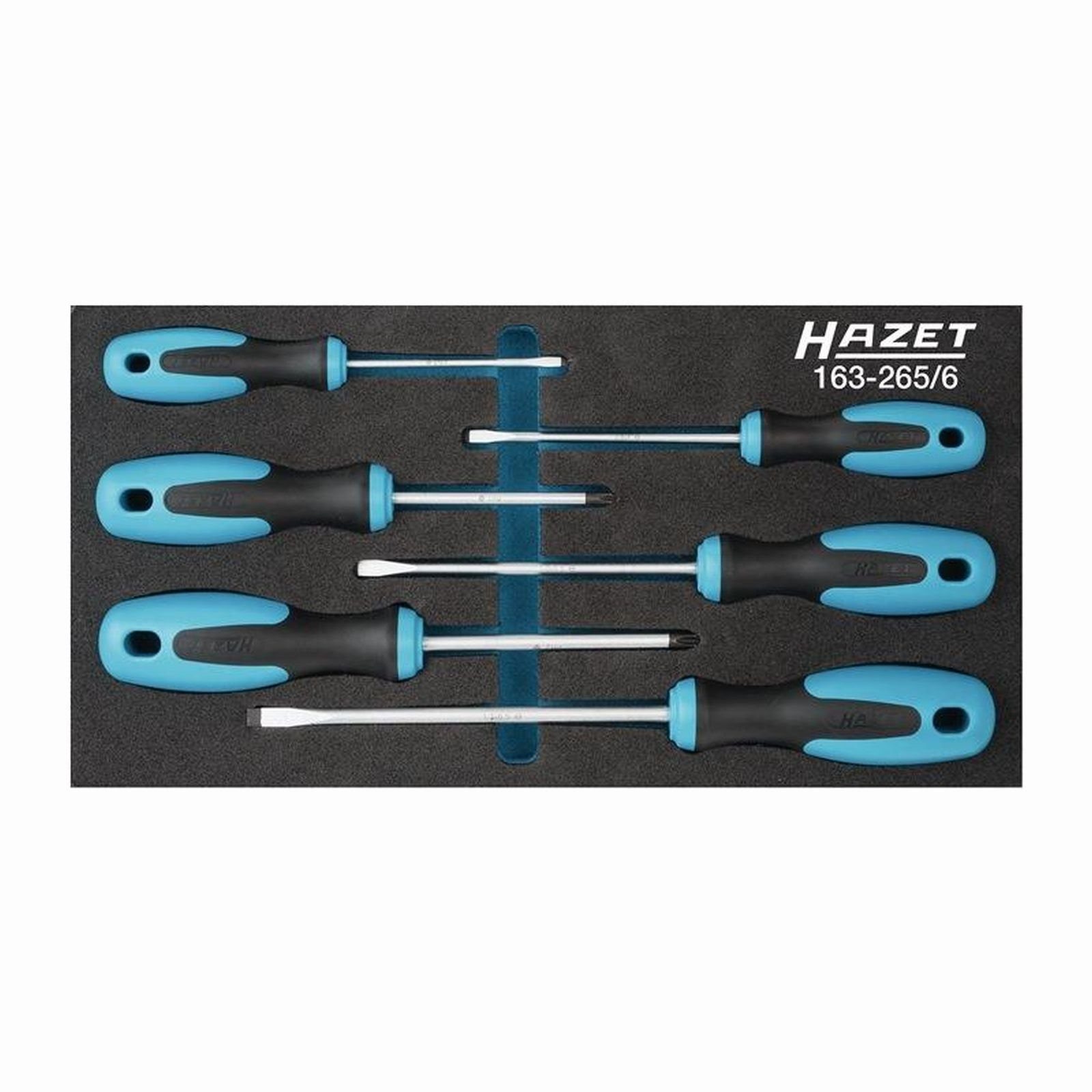 HAZET Werkzeugset Hazet Werkzeugmodul 163-265/6 6-teilig - 163-265/6
